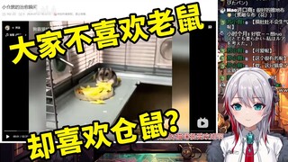 日本天然小姐姐看《小仓鼠的治愈瞬间》