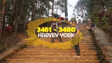Nagkakamali kayo ng INAPI ( 3461 - 3480 )