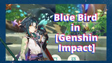 Blue Bird in [Genshin Impact]