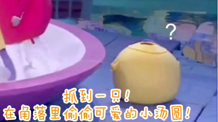 【Song Yaxuan】Urgent!! Where can I buy such cute tangyuan??