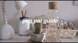 pen pal guide | what to write, what extras to give