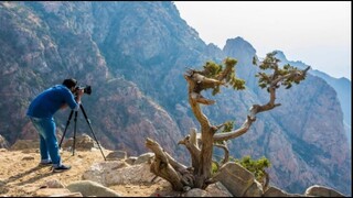 WELCOME TO AL - SHAFA MOUNTAIN, TAIF, SAUDI ARABIA #travelvlog #touristdestination