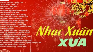 Nhạc Xuân Hải Ngoại Hay NGỌC LAN TUẤN VŨ NHƯ MAI LK Nhạc Xuân Xưa_ 8