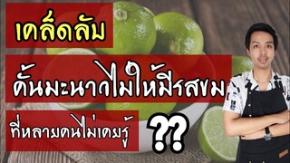 เคล็ดลับ คั้นมะนาวยังไงไม่ให้มีรสขม ที่หลายคนไม่เคยรู้!! |บ้านน้ำยำ สร้างอาชีพ