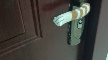 出门没带钥匙，猫帮我开了