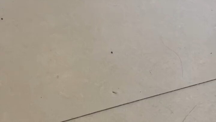 Woke up too suddenly,,