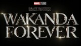 Marvel Studios’ Black Panther_ Wakanda Forever _ Official Trailer | YNR MOVIES