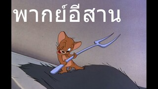 ทอมแอนเจอรี่ สอยดากแมว พากย์อีสาน