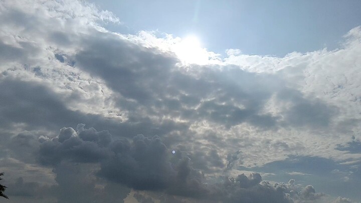 weather