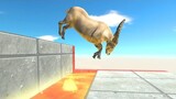 Jump Above Hot Lava - Animal Revolt Battle Simulator