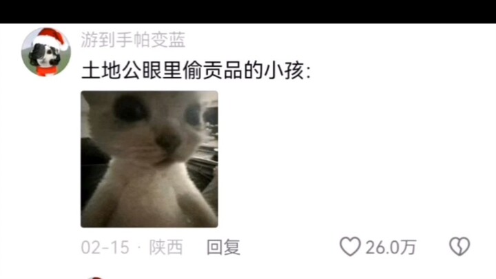 Such a cute comment section!