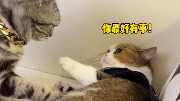 男盆友的贩剑日常，但是小飞棍版本