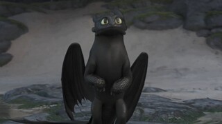 Toothless adalah anjing yang sangat baik. Indera penciumannya sangat bagus. Dia bisa menemukan Light