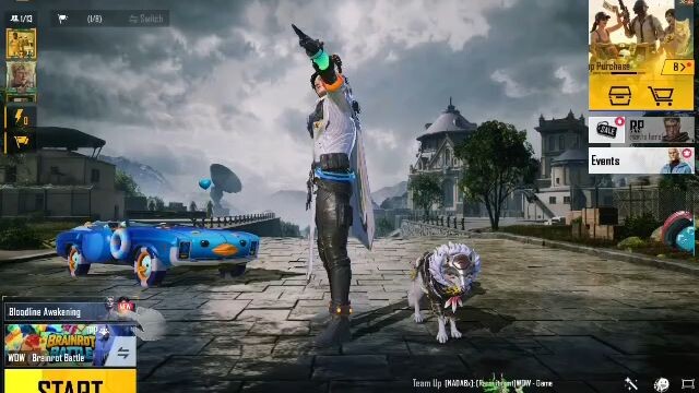 pubg game id number