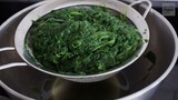 Amazing LAING – hot spicy creamy delicious SPINACH LAING dish that's simple to cook