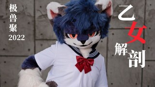 【2022极兽聚】乙女解剖 / 苍澜/兽装舞蹈 Fursuit Dance