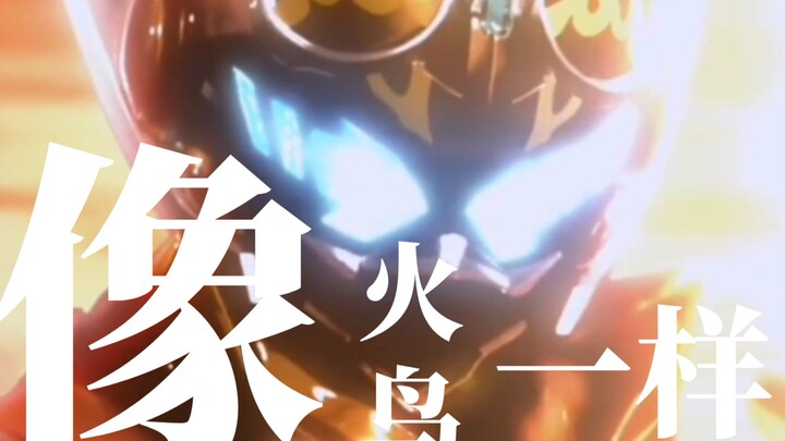 「短剪|黎明歌查德」像火鸟一样