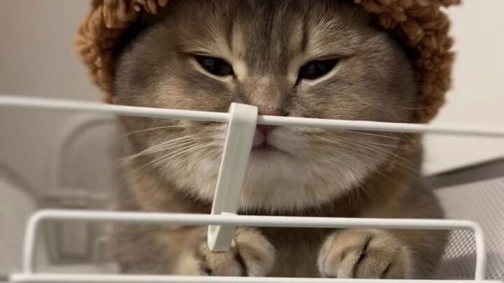 Look how happy the kid is!