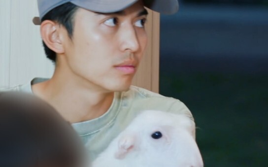 [Let’s Farm] Everyone, Tong Qiqi has been shaking my phone while hugging a little lamb for two days 