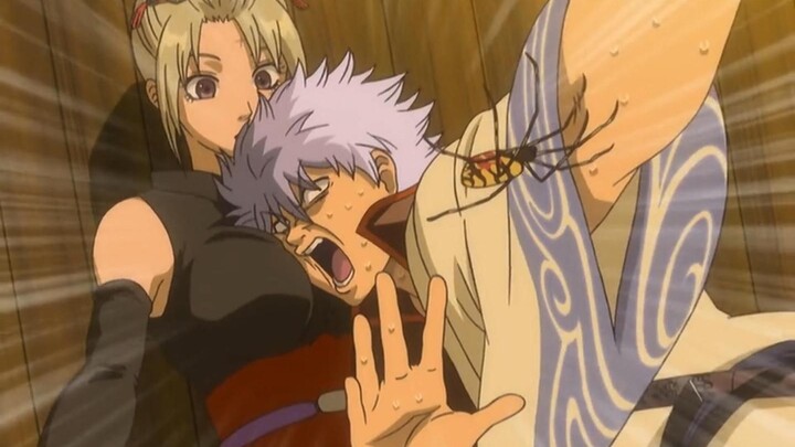 Ah!!! What a scary spider!