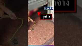 เมียวอนช่วยผัวป่วยหนัก ถูกพี่สาวลักพาตัวกีดกันห้ามพบ | #Shorts #ข่าวแหกโค้ง | GMM25