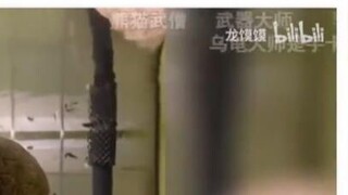 The Japanese dragon girl was so dumbfounded when she watched kung fu animals. It turns out that not 