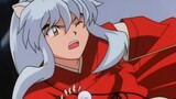 [InuYasha × Campanulaceae | Love War] Sigh softly about our good times