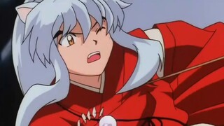 [InuYasha × Campanulaceae | Perang Cinta] Desah pelan tentang masa-masa indah kita