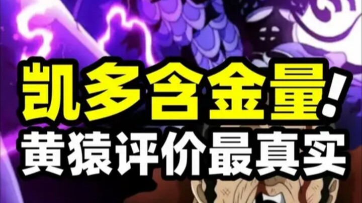 One Piece: How valuable is Kaido, really? Akainu gives the most honest assessment.