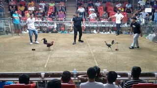 2nd Fight Win 1st Entry Mega 5hits Elims. @SMC