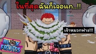 ในที่สุดฉันก็เจอแก..!!! เจ้าหมวกฟาง!!! [Blox Fruits]