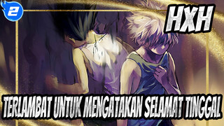 HUNTER×HUNTER Terlambat untuk mengatakan selamat tinggal dan ceritanya telah berkahir_2