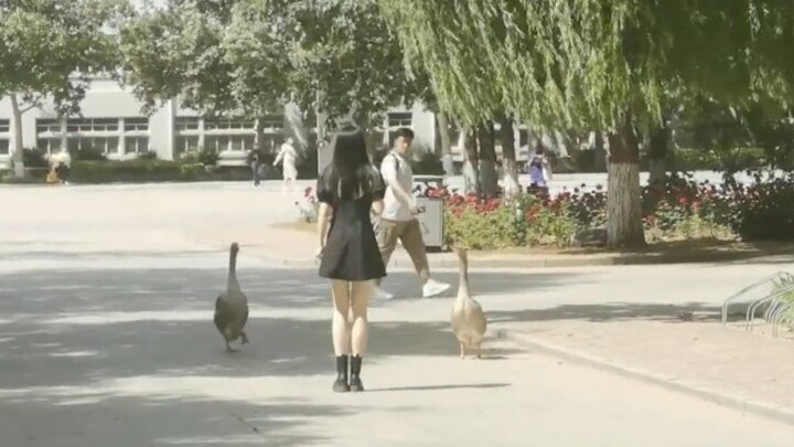 Hành vi xã hội chết chóc… đẳng cấp cao của con người!!