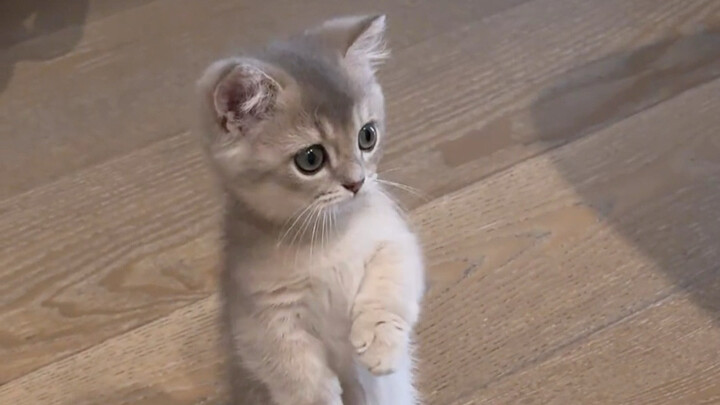 มันก็ยืนขึ้นมาแบบสดชื่นฉ่ำเย็นแบบนั้นเลย