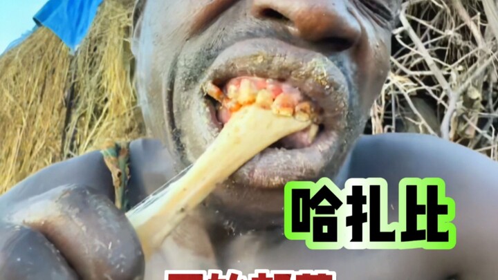 原始部落哈扎比人的生活