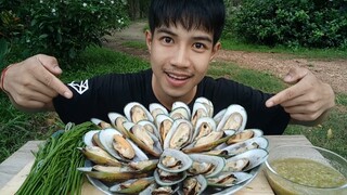 กินหอยแมงภู่ยักษ์!! นิวซีแลนด์ จิ้มซีฟู้ดรสเด็ด  แซ่บขนาด.....