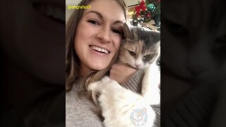 Video meme kucing paling lucu bikin ngakak guling-guling 🤣