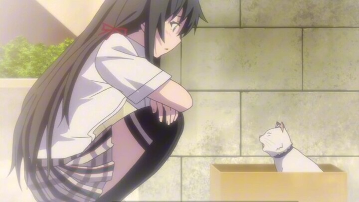 [Yaxue] Two people bickering clip 2 (also known as the world where only Hikigaya Hachiman was injure