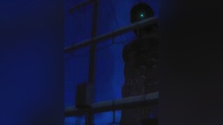 Eren's Death Stare aot fyp viral AttackOnTitan deathstare hange eren attacktitan edit anime