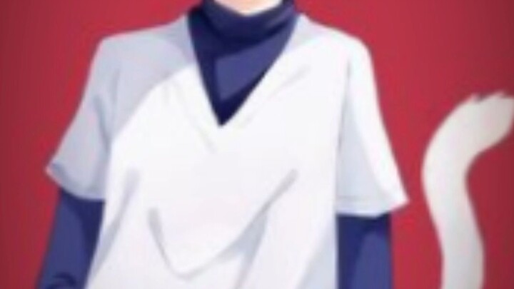 คิรัวร์ร่างแมว😺