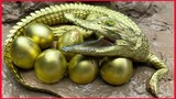 The Golden Crocodile Trap Primitive Cooking Experiment Unusual Underground.