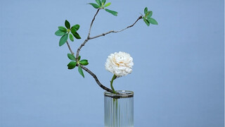 阿米亚花艺｜杜鹃洋牡丹玻璃杯插花