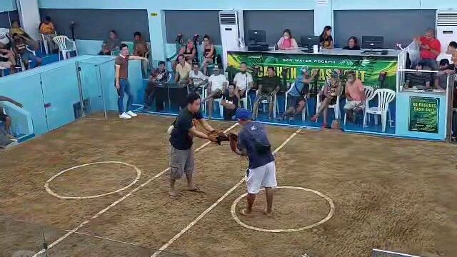 2ndfight win