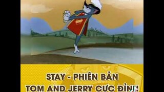 STAY (Phiên bản "Tom và Jerry")