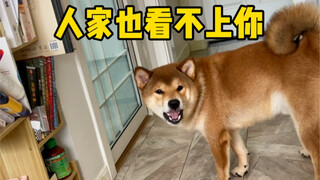 ลูกชายคนโตของฉัน (ฉันอายมาก)