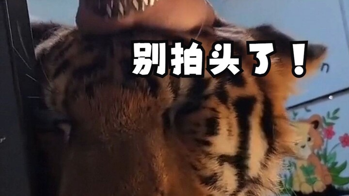 Stop hitting your head—it’ll make you stupid!