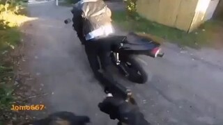 Nice bike