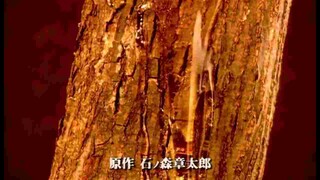 Siêu Nhân Hiệp Sĩ Mặt Nạ Kuuga Tập 1 : Khôi Phục Sức Mạnh | Phim Siêu Nhân Kiến