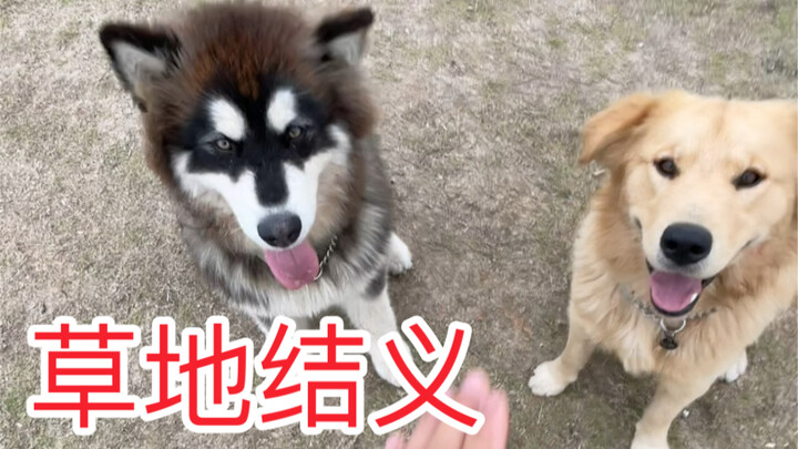 These two detectives don’t really feel like solving cases.