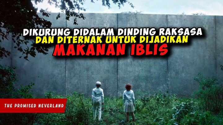 Ketika PANTI ASUHAN Dijadikan PETERNAKAN MANUSIA Untuk MAKANAN IBLIS